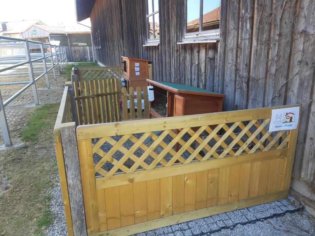 Ferienwohnung Pferdehof Pankratz Iffeldorf Zewnętrze zdjęcie